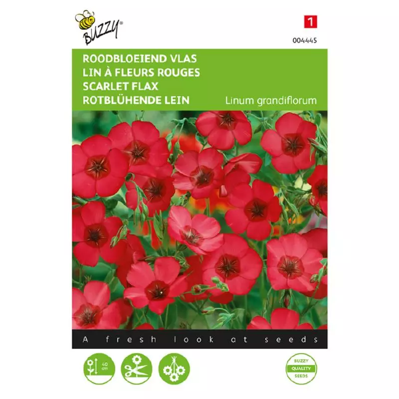 Linum Rubrum Grandiflorum Rood 1 5g GroenRijk Raalte