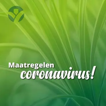 De huidige Corona maatregelen